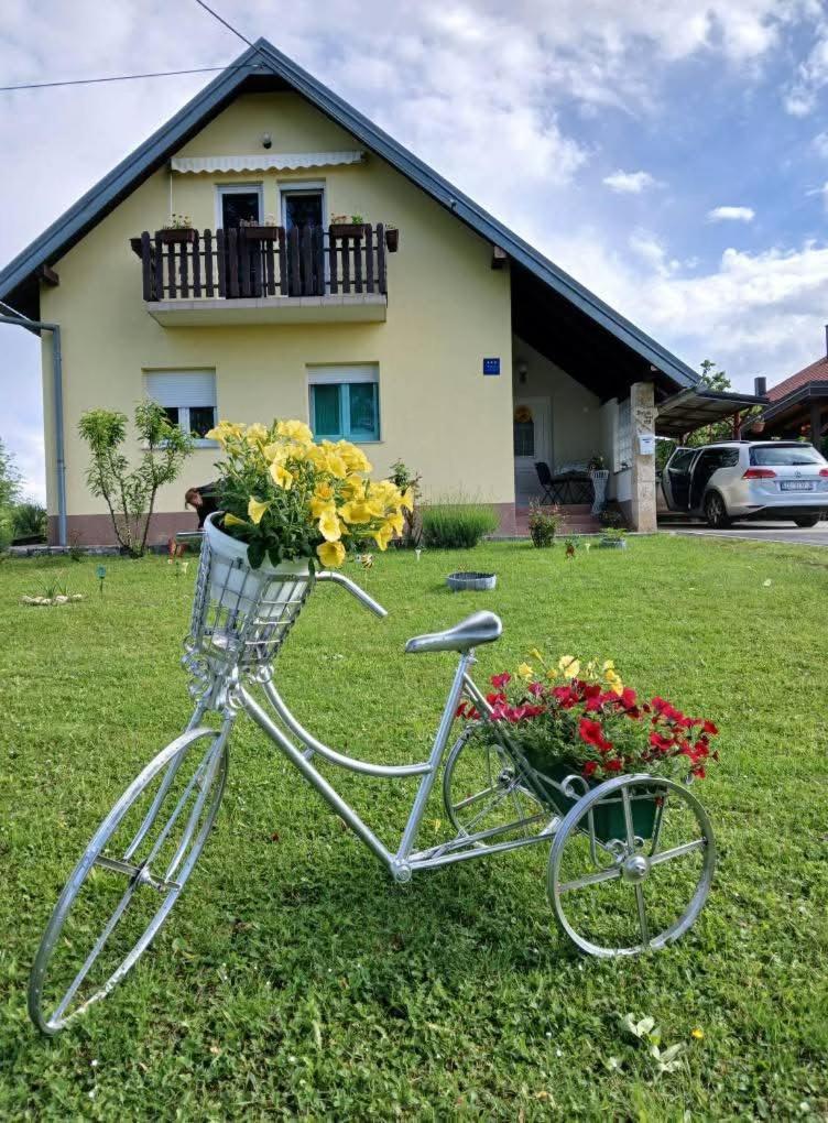 Yellow Rose Rakovica Kültér fotó